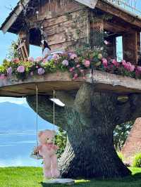 小屋是不是很有童話感！！