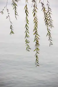 在武漢,週末不知道去哪兒玩,來東湖就對了