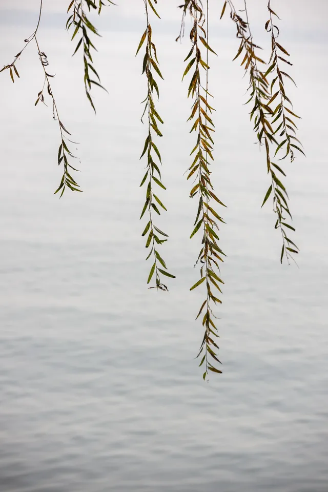 在武漢,週末不知道去哪兒玩,來東湖就對了 在武漢,週末不知道去哪兒玩,來東湖就對了