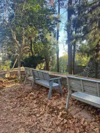 莫干山蔣公古道 請大膽浪費時間給秋天