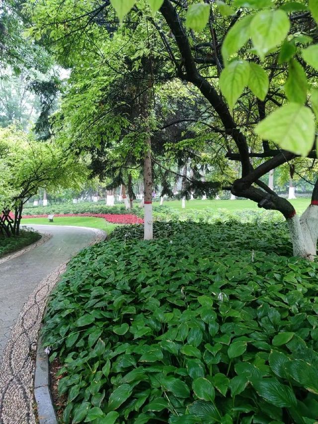 藏在城芯湟水畔，人文與自然的共生秘境