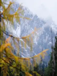 這裡不是挪威,這裡是白馬王朗!