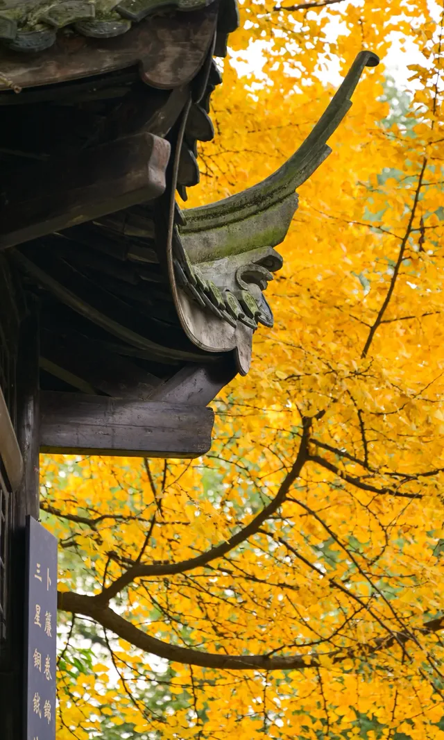 不是蘇州園林，是成都易園