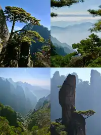 黃山(二) | 松與石