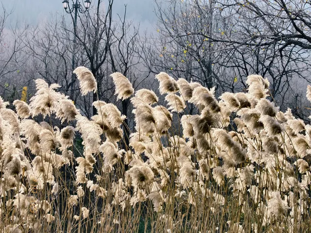 我眼中的青州 我眼中的青州