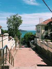 青島冬日兩日遊追海鷗逛老城超治癒