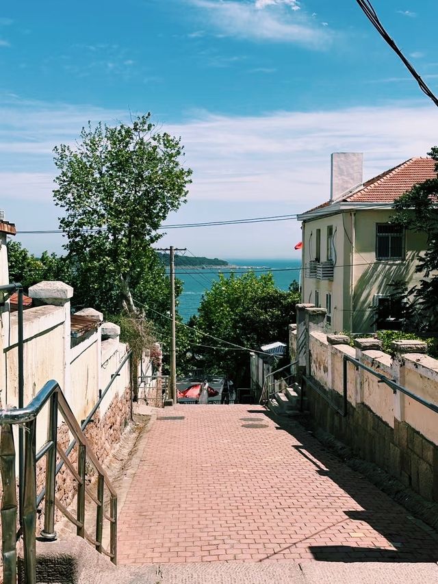 青島冬日兩日遊追海鷗逛老城超治癒 青島冬日兩日遊追海鷗逛老城超治癒