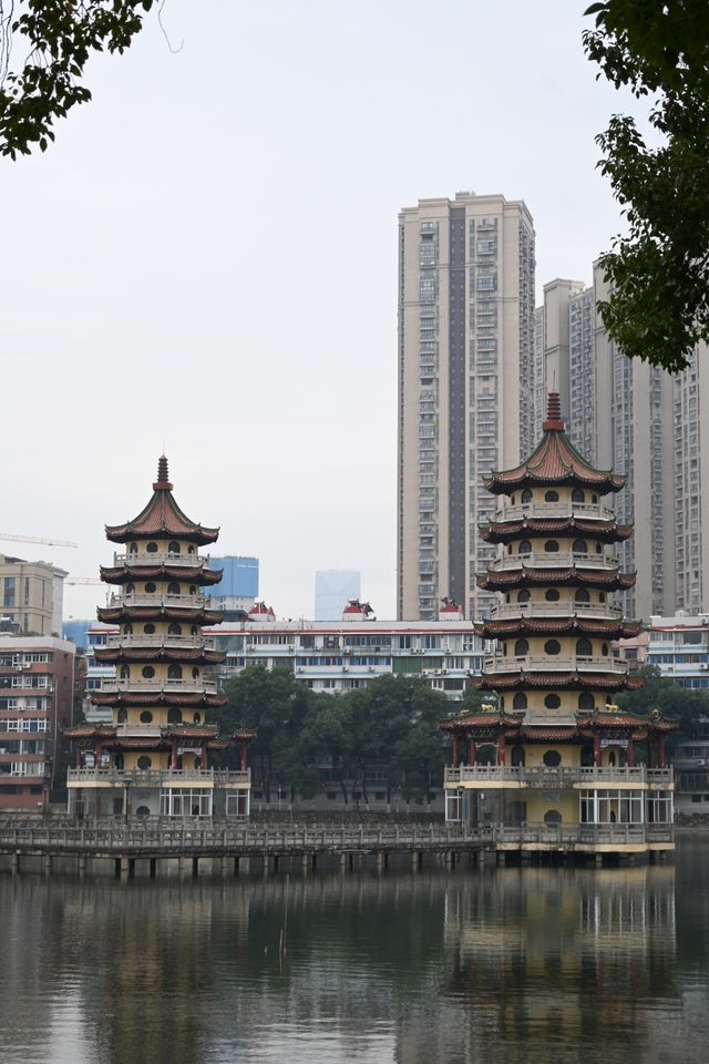 探訪寶島公園:都市中的靜謐一隅 探訪寶島公園:都市中的靜謐一隅