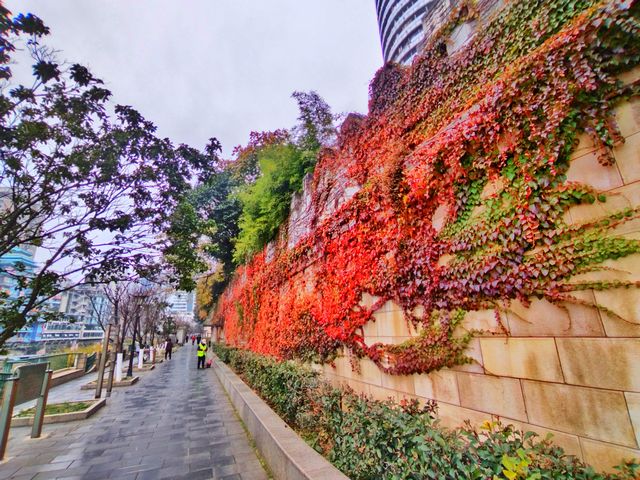 杏好~~有你 杏好~~有你