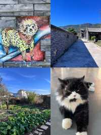 麗江|在白沙古鎮的充電日,把時間還給自己