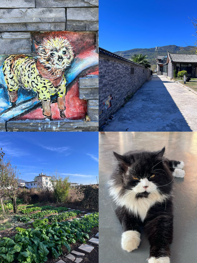 麗江|在白沙古鎮的充電日,把時間還給自己 麗江|在白沙古鎮的充電日,把時間還給自己