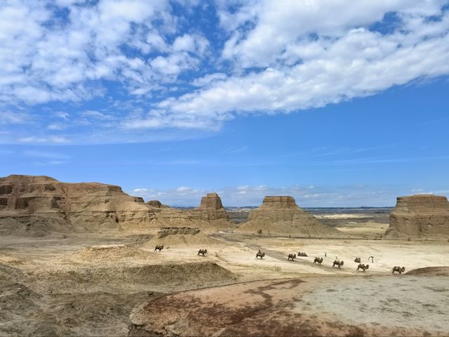 北疆大環線14天 北疆大環線14天