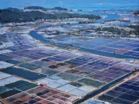 漳州東山島西港鹽田