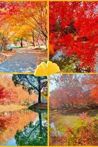 上海元旦旅遊王炸跨年瘋玩攻略,本地人私藏