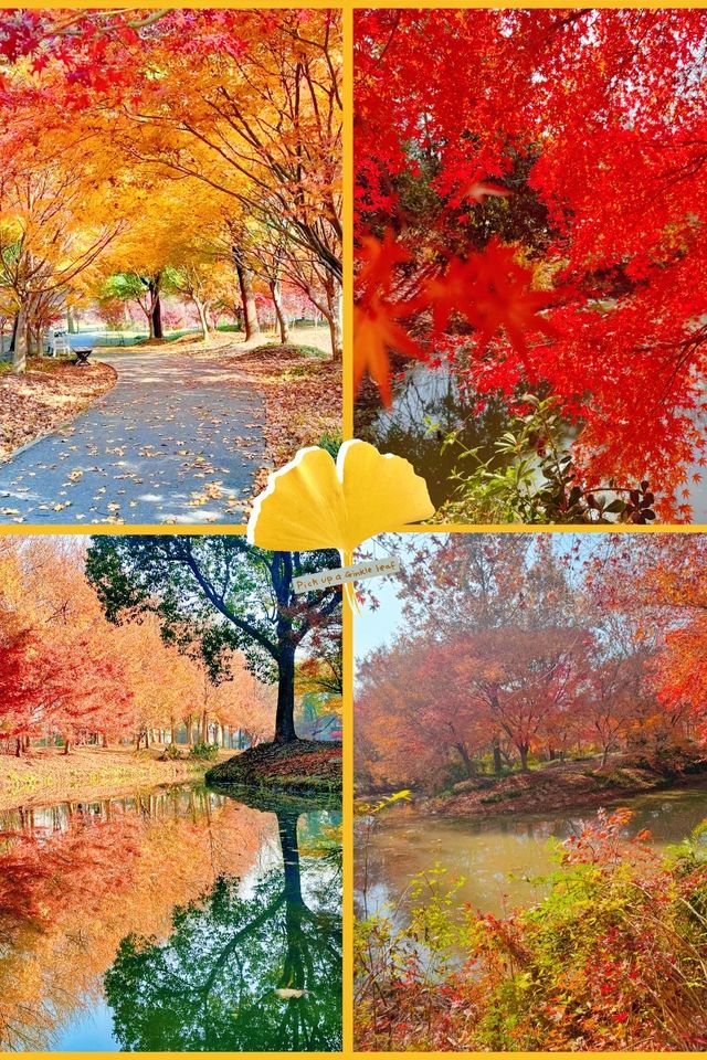 上海元旦旅遊王炸跨年瘋玩攻略,本地人私藏 上海元旦旅遊王炸跨年瘋玩攻略,本地人私藏