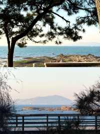 冬日青島Seawalk天花板!這條路線讓你承包整片克萊因藍