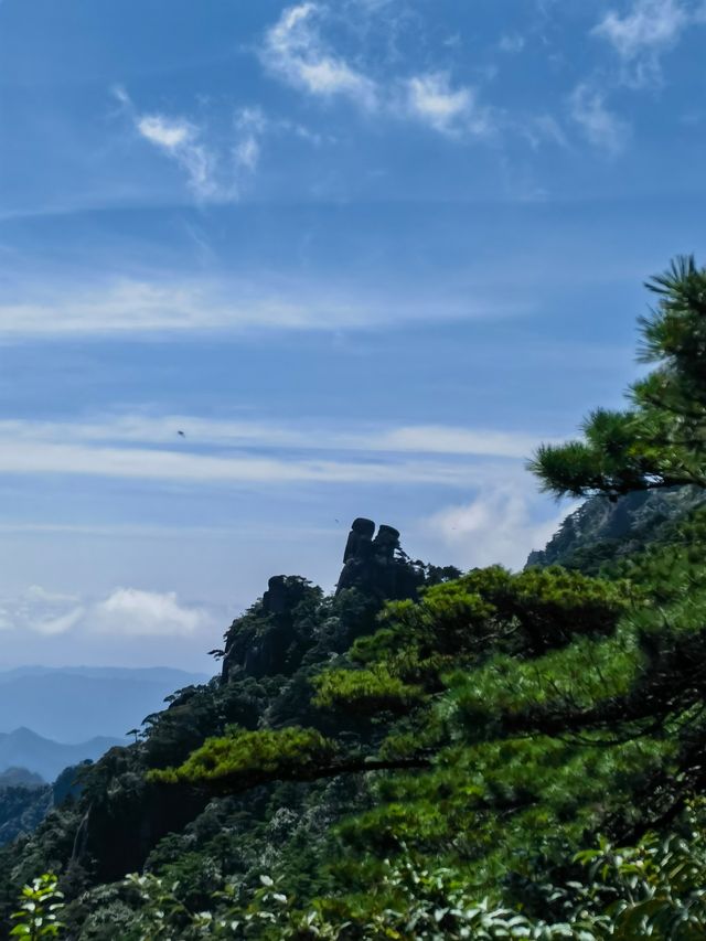 萬年巨蟒破山而出震撼到失語 萬年巨蟒破山而出震撼到失語