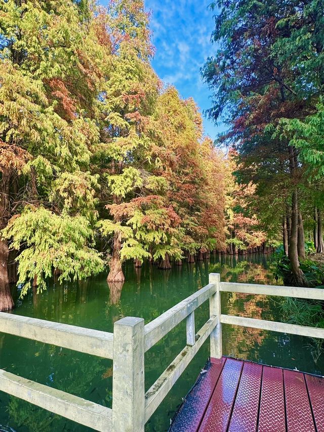 廣州1h週末躺平|肇慶山水吸氧天花板 廣州1h週末躺平|肇慶山水吸氧天花板