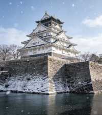 12月14日日本受罪已回,說點難聽的大實話