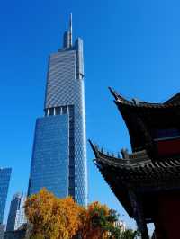 說走就走的金陵之旅2.5天年假邂逅南京的秋