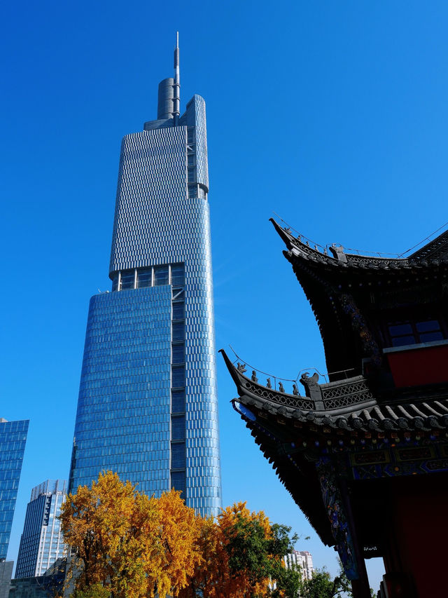 說走就走的金陵之旅2.5天年假邂逅南京的秋 說走就走的金陵之旅2.5天年假邂逅南京的秋