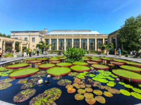 ペンシルベニア州ロングウッドガーデン散策: 花と芸術の幻想的な饗宴