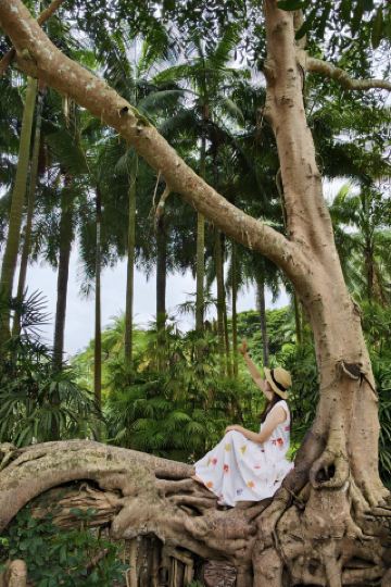 สวนพฤกษศาสตร์เขตร้อนซีซวงปันนา สังกัดสถาบันวิทยาศาสตร์แห่งประเทศจีน เป็นสถานที่ที่ยอดเยี่ยมสำหรับการถ่ายภาพ โปรดเก็บคู่มือฉบับละเอียดนี้ไว้ใกล้มือด้วย