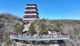 Huangcangyu Free Admission Invitation, Ladies Enjoy the Spring Scenery