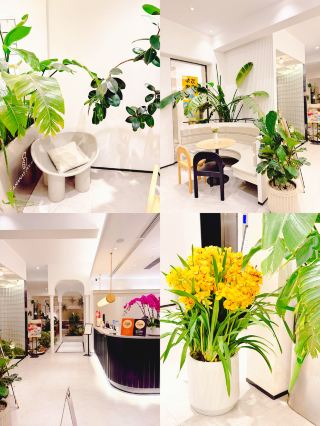 Anshe Pellegrini: ภาพถ่ายท่องเที่ยวสไตล์ฝรั่งเศสในคุนหมิง ทุกเฟรมภาพงดงามราวกับภาพยนตร์