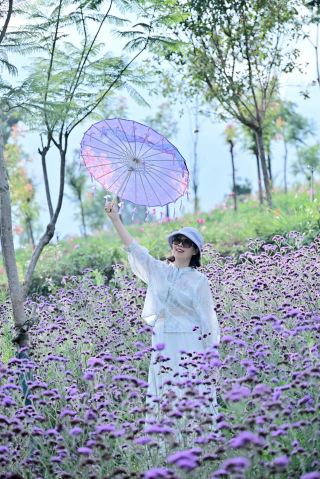【花を追う旅】抚仙湖の紫色のロマンチックな花海を散歩して一日中癒されよう！