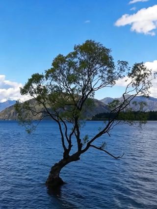 I stole a touch of blue from Lake Wanaka and tucked it into this winter day