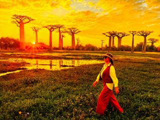 Morondava | Sunset Exclusive, Encounter the Golden Dusk of the Avenue of the Baobabs