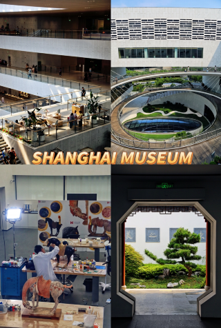 Shanghai Museum East Wing: a cultural playground to spend the whole day｜Shanghai travel guide
