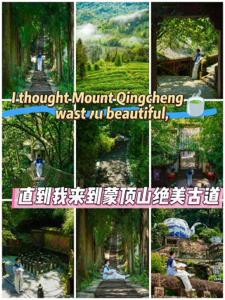 青城山も十分に美しいと思っていましたが、孟頂山の息を呑むほど美しい古道を訪れて、その美しさに改めて感動しました。成都から日帰り旅行をお探しですか？成都から車でわずか1分半の孟頂山は、本当におすすめです！