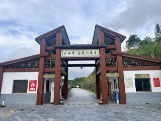 Daxian Peak · Tea Beauty Scenic Area