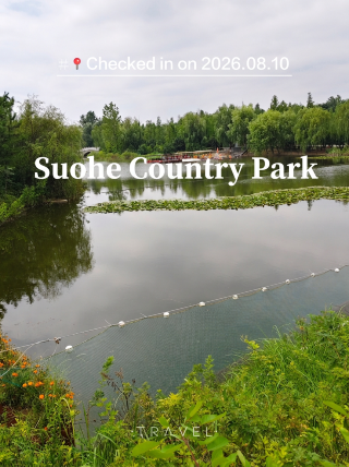 鄭州週末の宝地｜索河郊外公園、キャンプや子どもと湿地観察、無料のおすすめスポット
