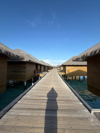 Незабываемое одиночное путешествие на день рождения в Cocoon Maldives