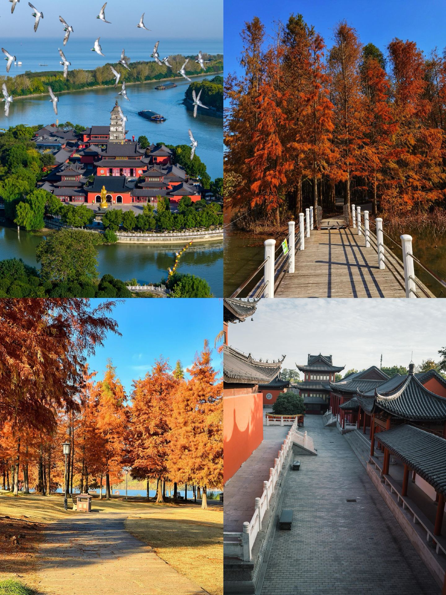 ご年配の方との旅行｜無理なく癒やされる、穴場のスローシティ4選（足腰に優しい）