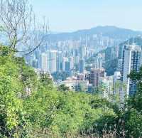大年初一，晴空萬里，行大運，港島徑！