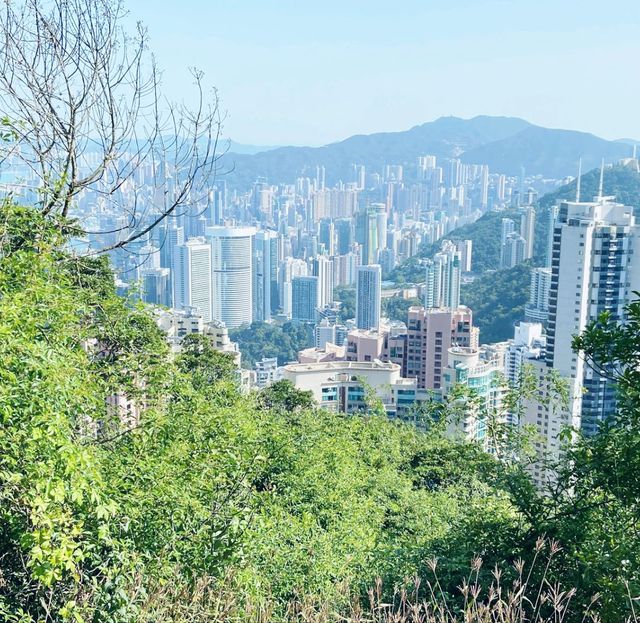 大年初一，晴空萬里，行大運，港島徑！