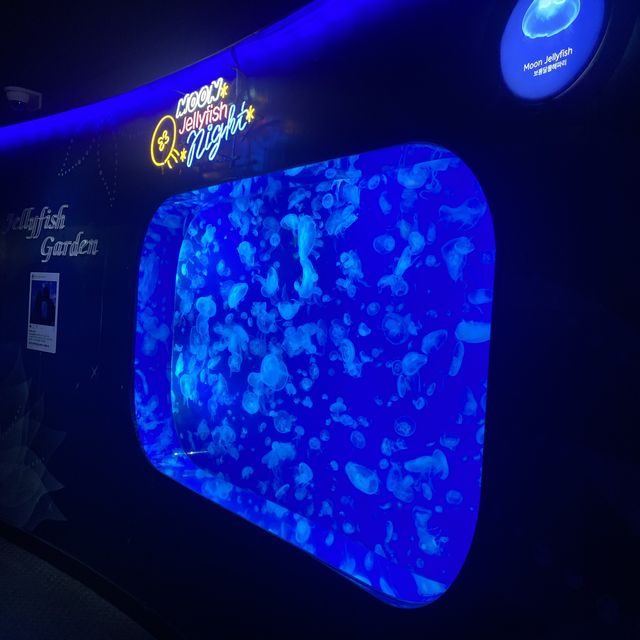 Spectacular aquarium in Korea