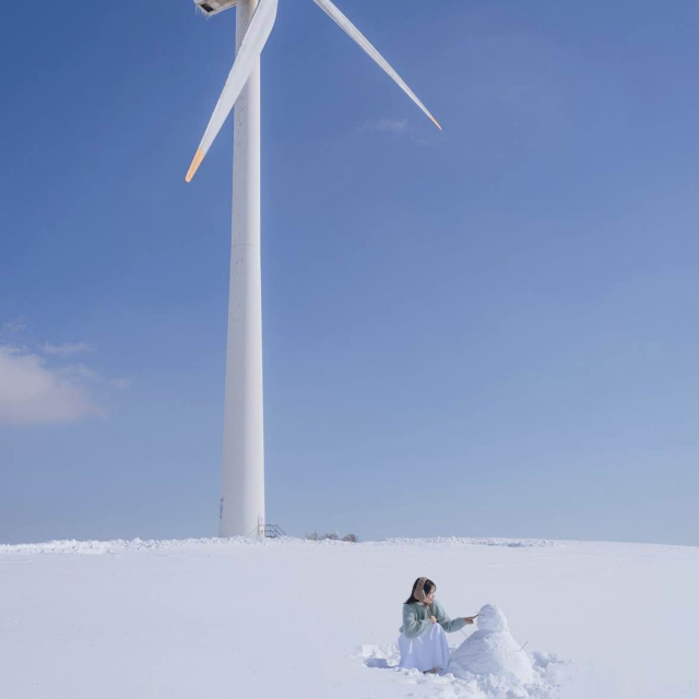 풍차와 함께 하얀눈밭이 가득한 삼양목장❄️