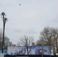 雪之札幌電視塔與大通公園