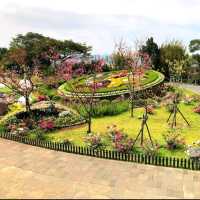 Romantic Flower Park at Yangmingshan