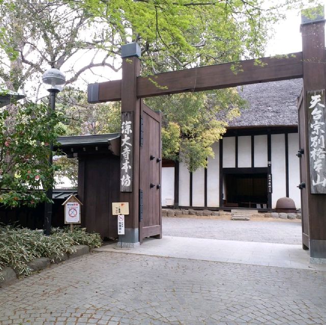 深大寺參拜之旅⛩🙏