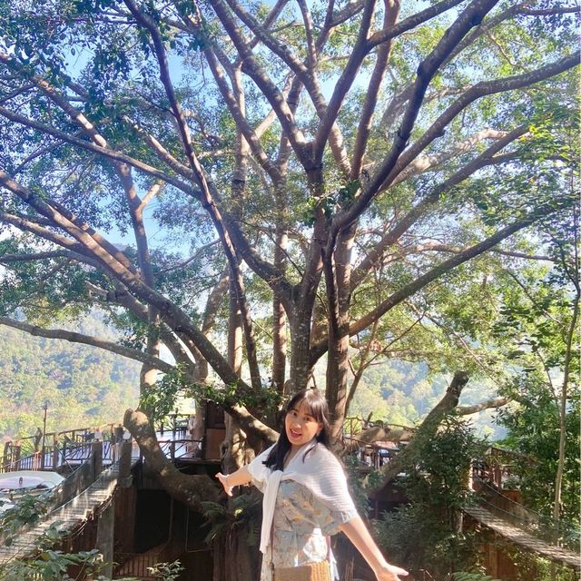 The Giant Chiangmai