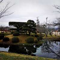 Beautiful park with around 3k sakura trees