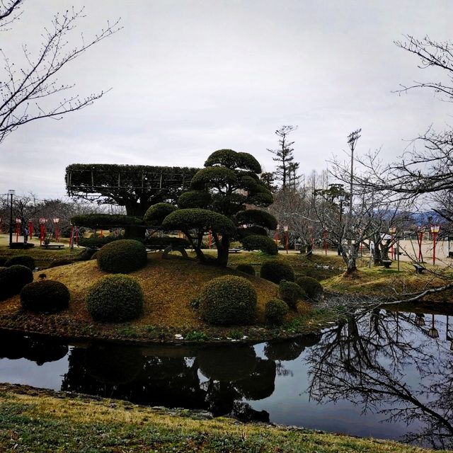 Beautiful park with around 3k sakura trees