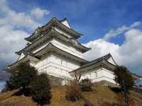 Springtime in Odawara Castle