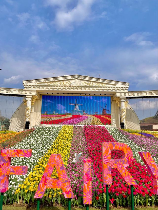 에버랜드는 지금 튤립축제중🌷🌷🌷